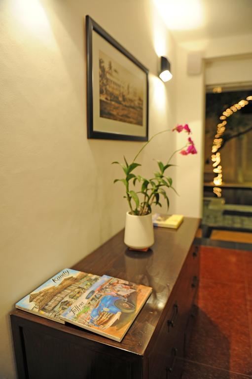 The In Lavinia 3*