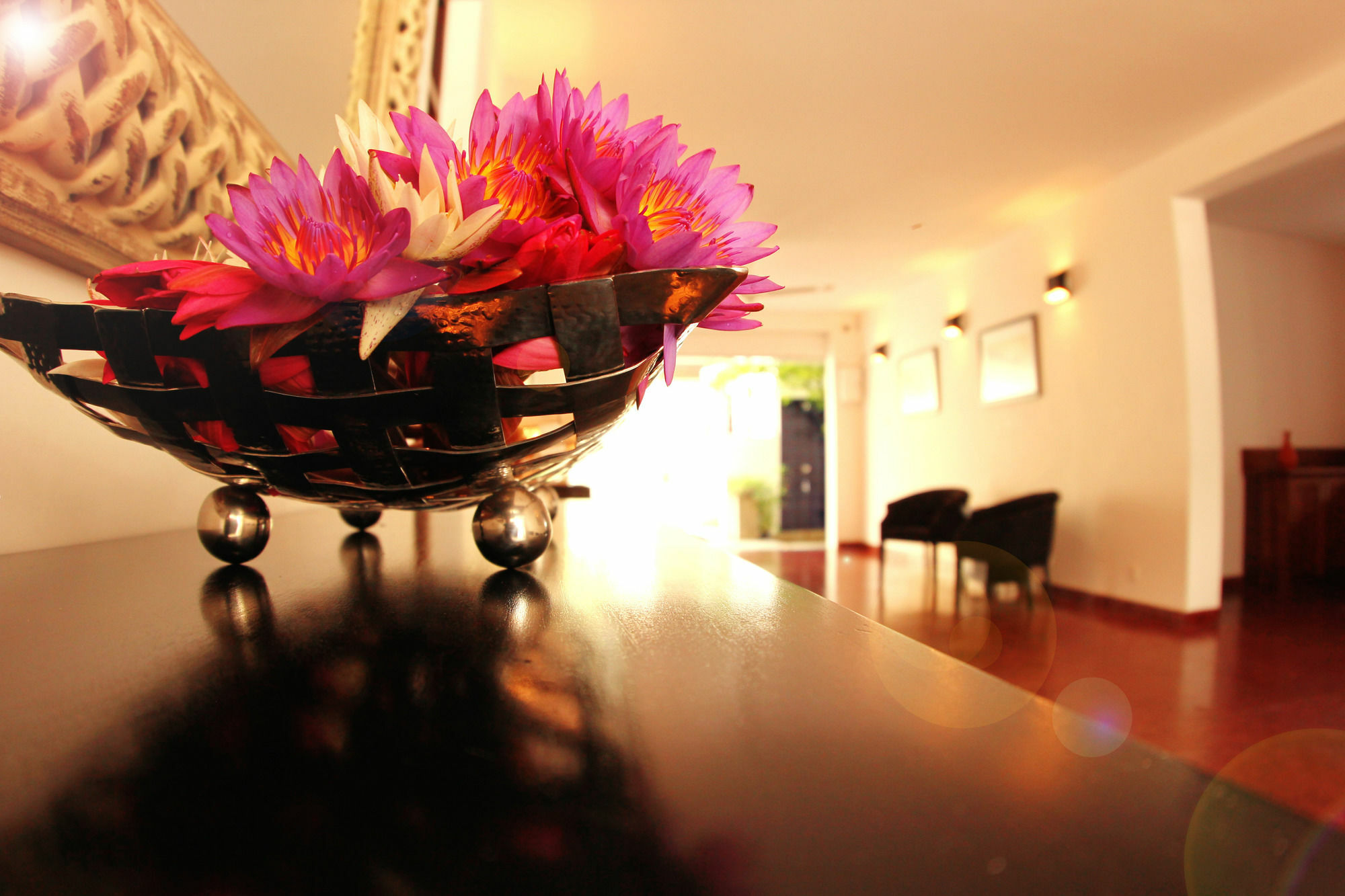 Guest house The In Lavinia 3*